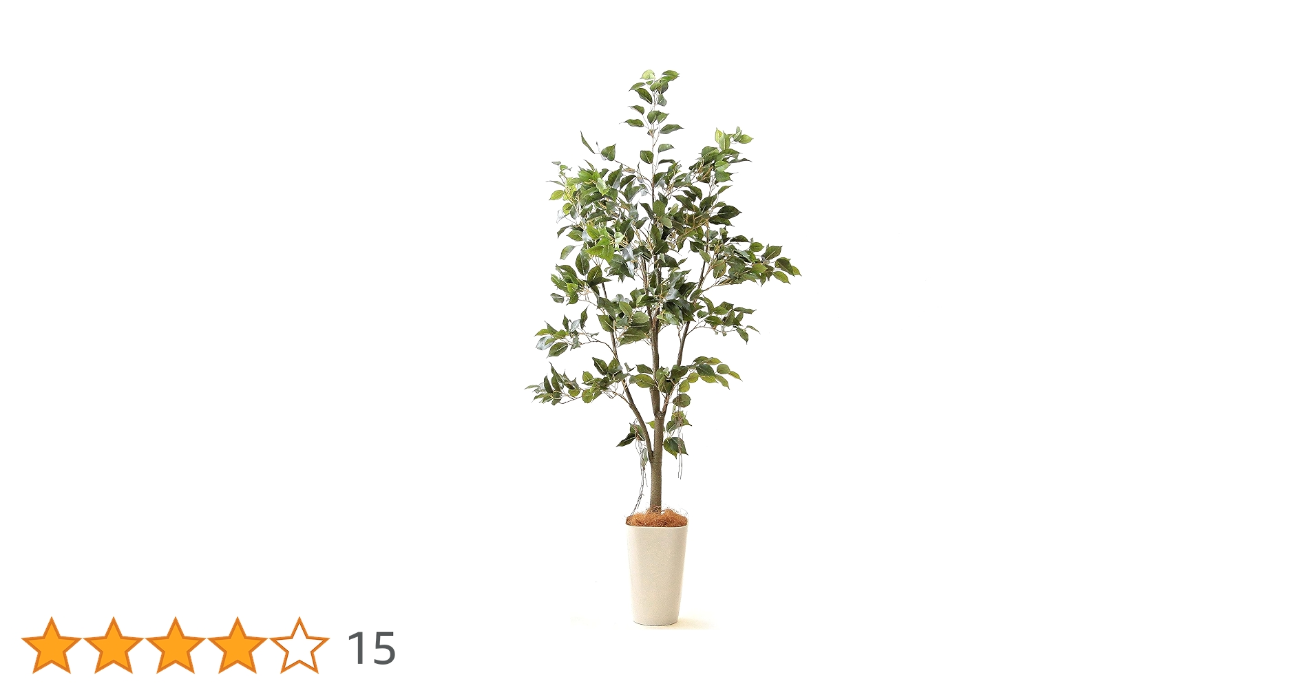 光触媒　人工観葉植物　ベンジャミナスプラッシュセパレート 300cm 光触媒 人工観葉植物 ベンジャミナスプラッシュセパレート 300cm
